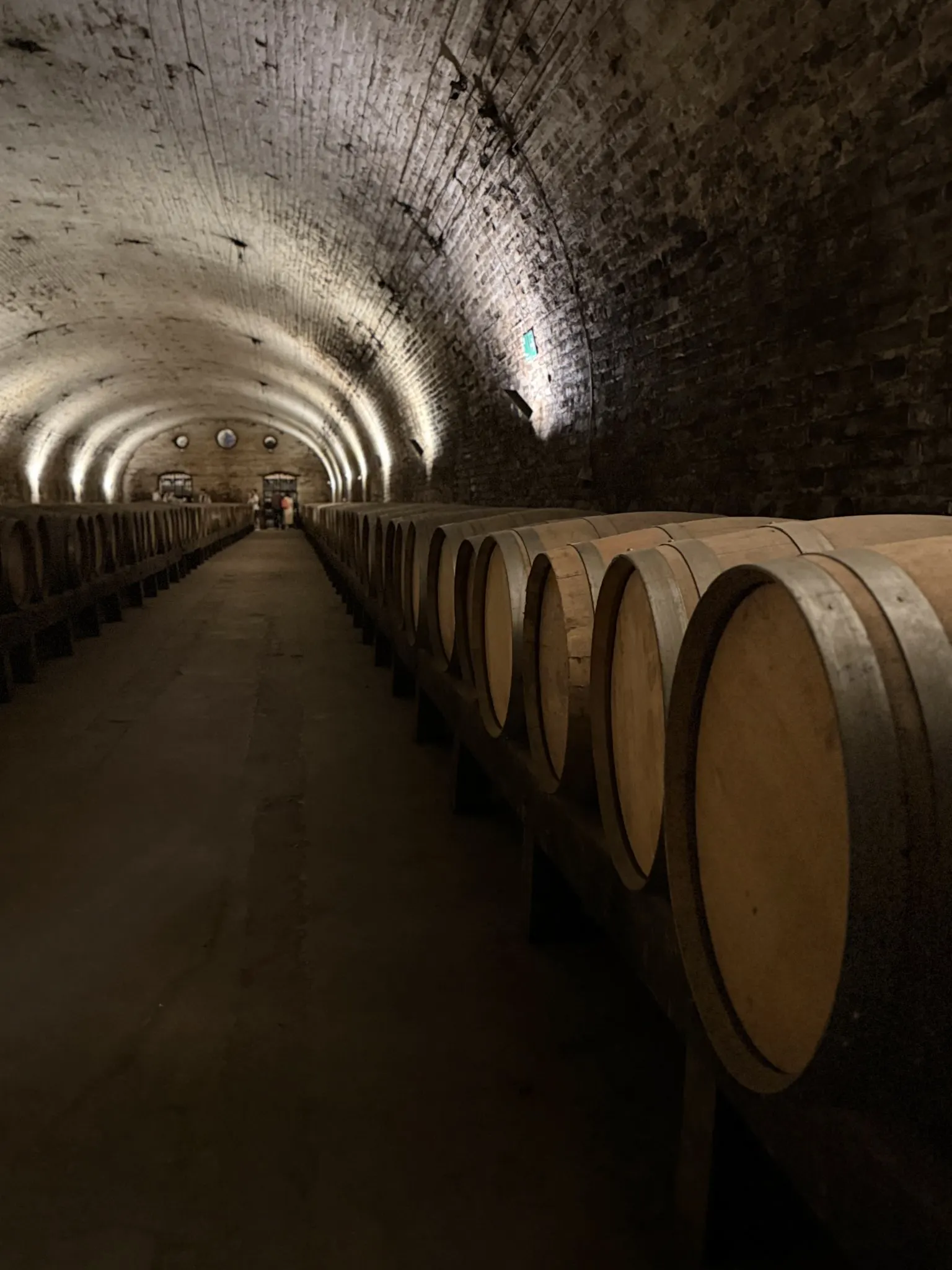 Oak casks in a long vaulted cellar