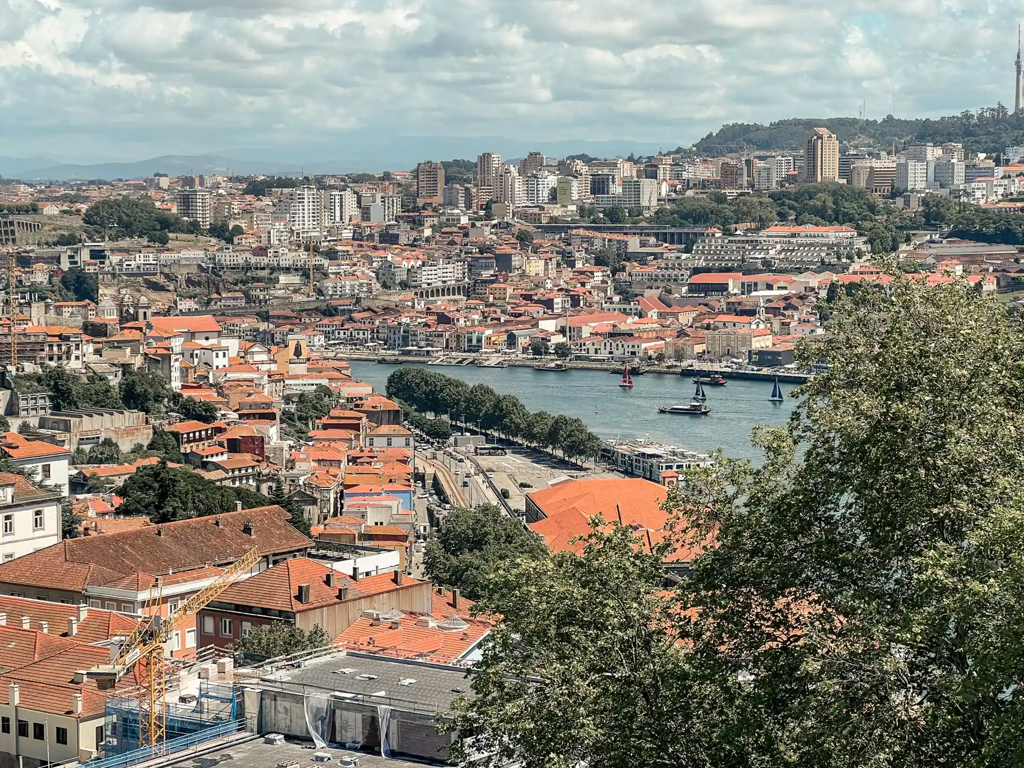 Tiled roofs and old houses stepping down to the Douro on a clear morning
